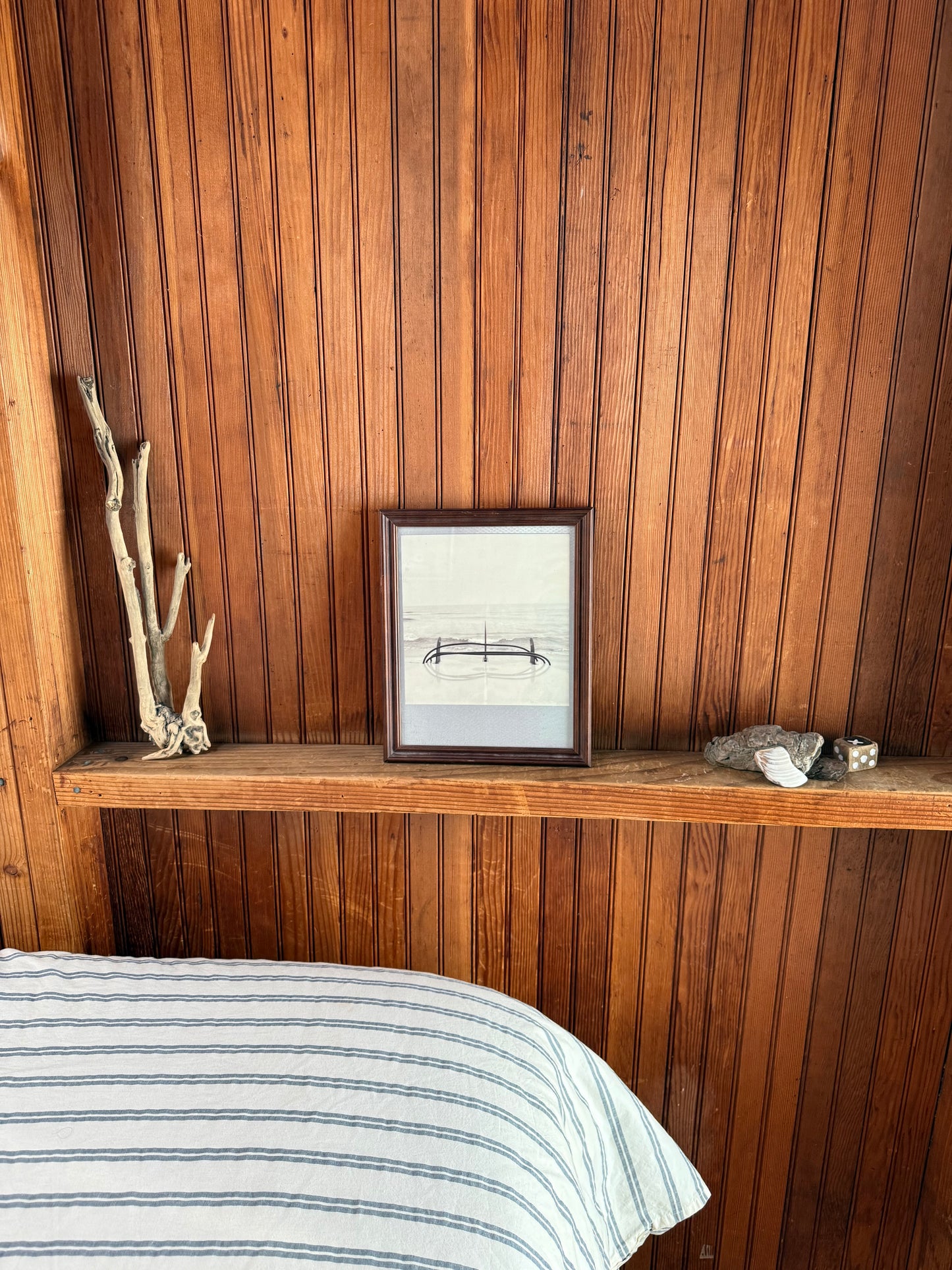 FINS UP 8” x 10” PRINT