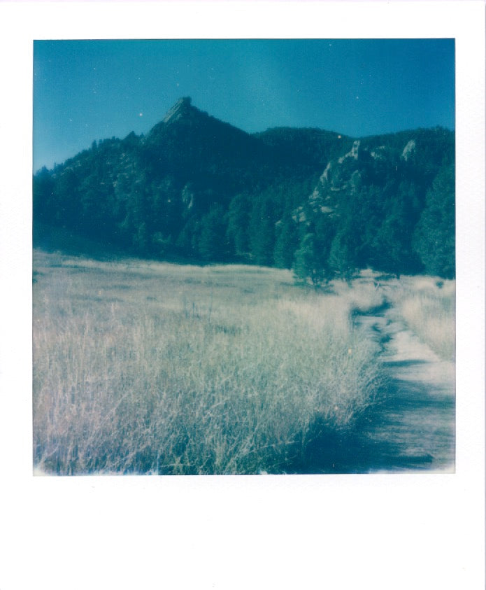 FLAT IRONS (framed original polaroid)