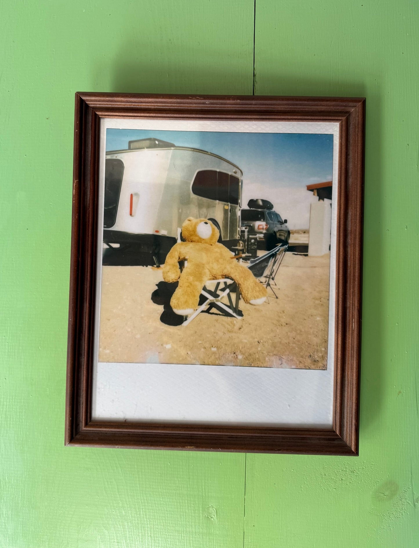 TEDDY IN TEXAS 8” x 10” PRINT