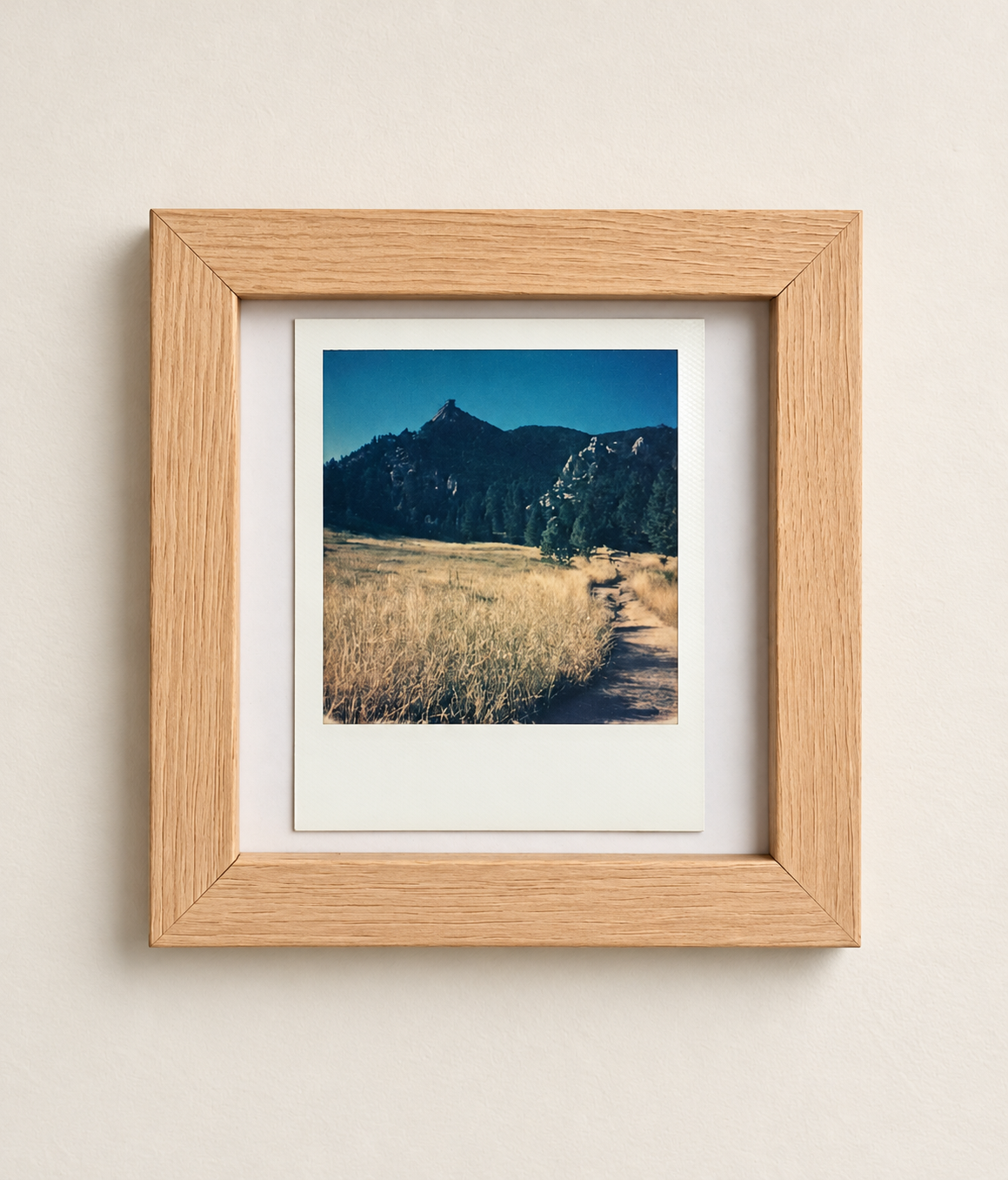 FLAT IRONS (framed original  polaroid)