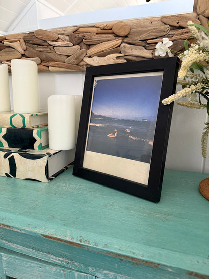 EL PELÍCANO 8”x10” print