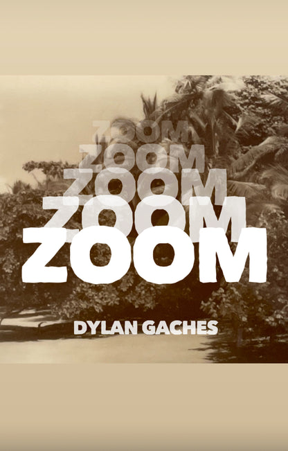 ZOOM