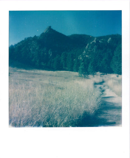FLAT IRONS (framed original  polaroid)