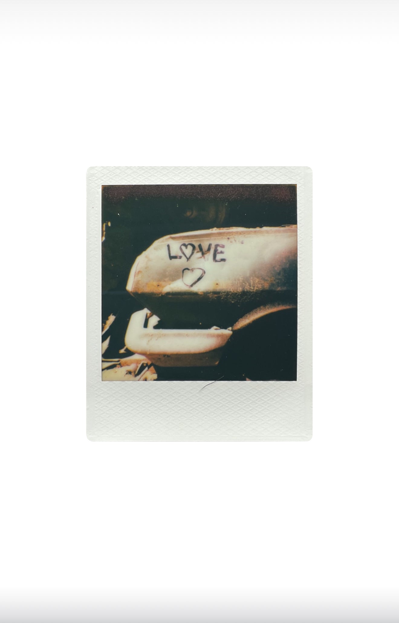 LOVE BUMPER 8”x10” PRINT