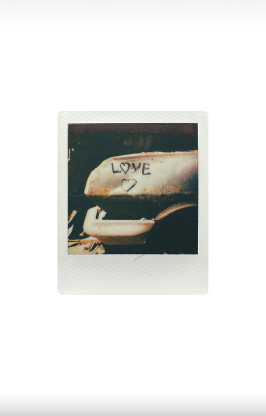 LOVE BUMPER 8”x10” PRINT