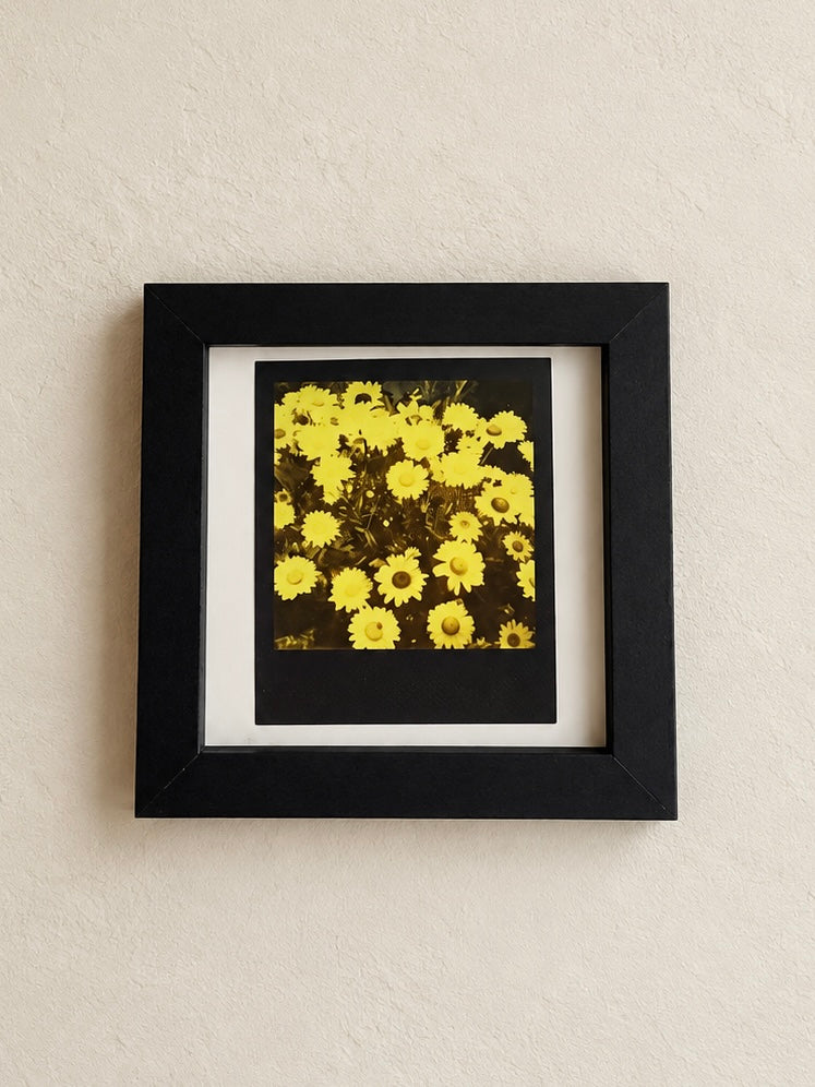MONTAUK DAISY IN YELLOW (framed original polaroid)
