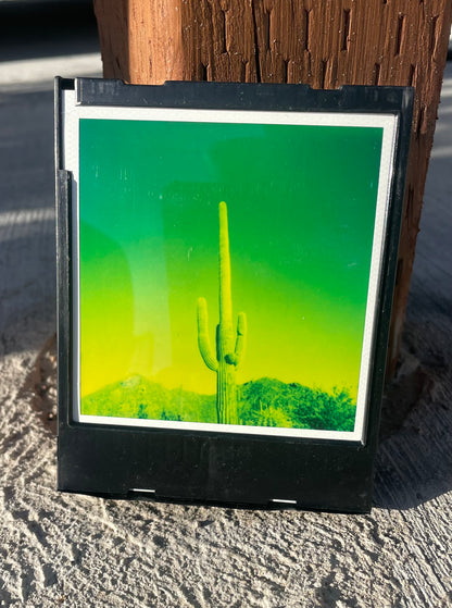SAGUARO EN GREEN. 003