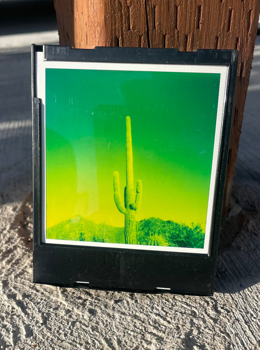 SAGUARO EN GREEN. 003