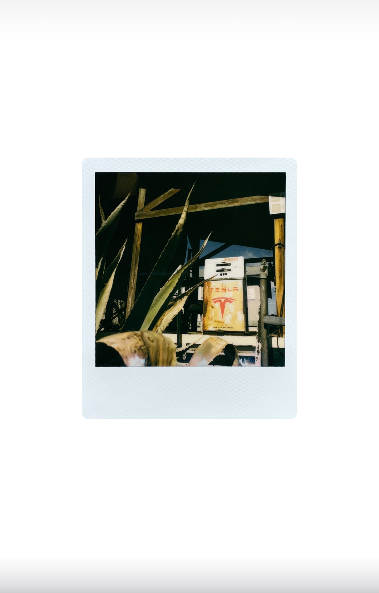 TESLA 8”x10” Metallic Print