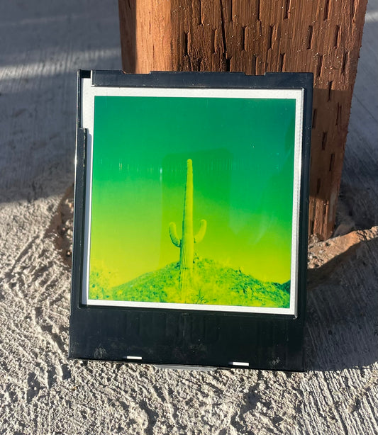 SAGUARO EN GREEN. 004