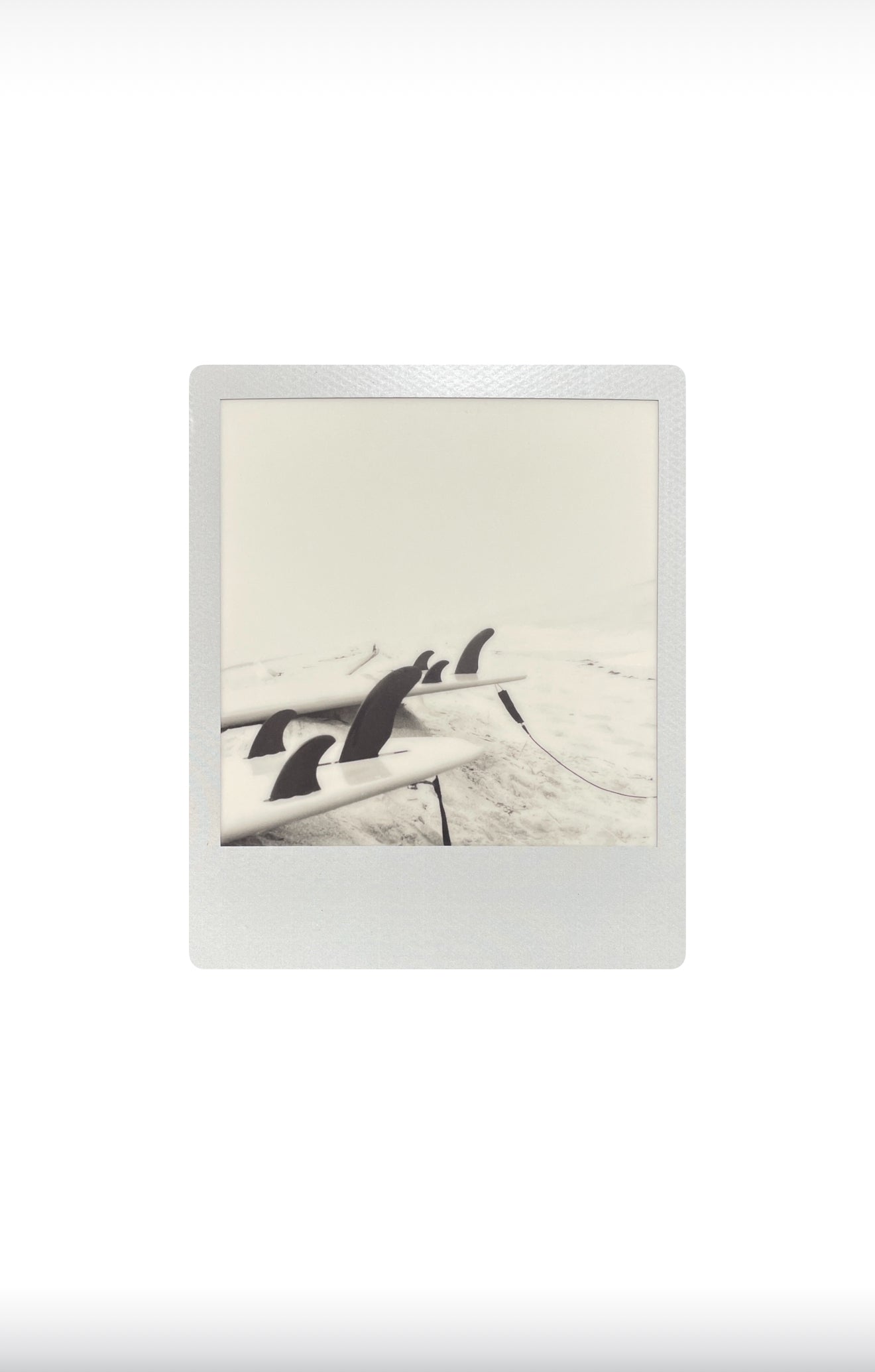 TWO BOARDS 8”x10” print