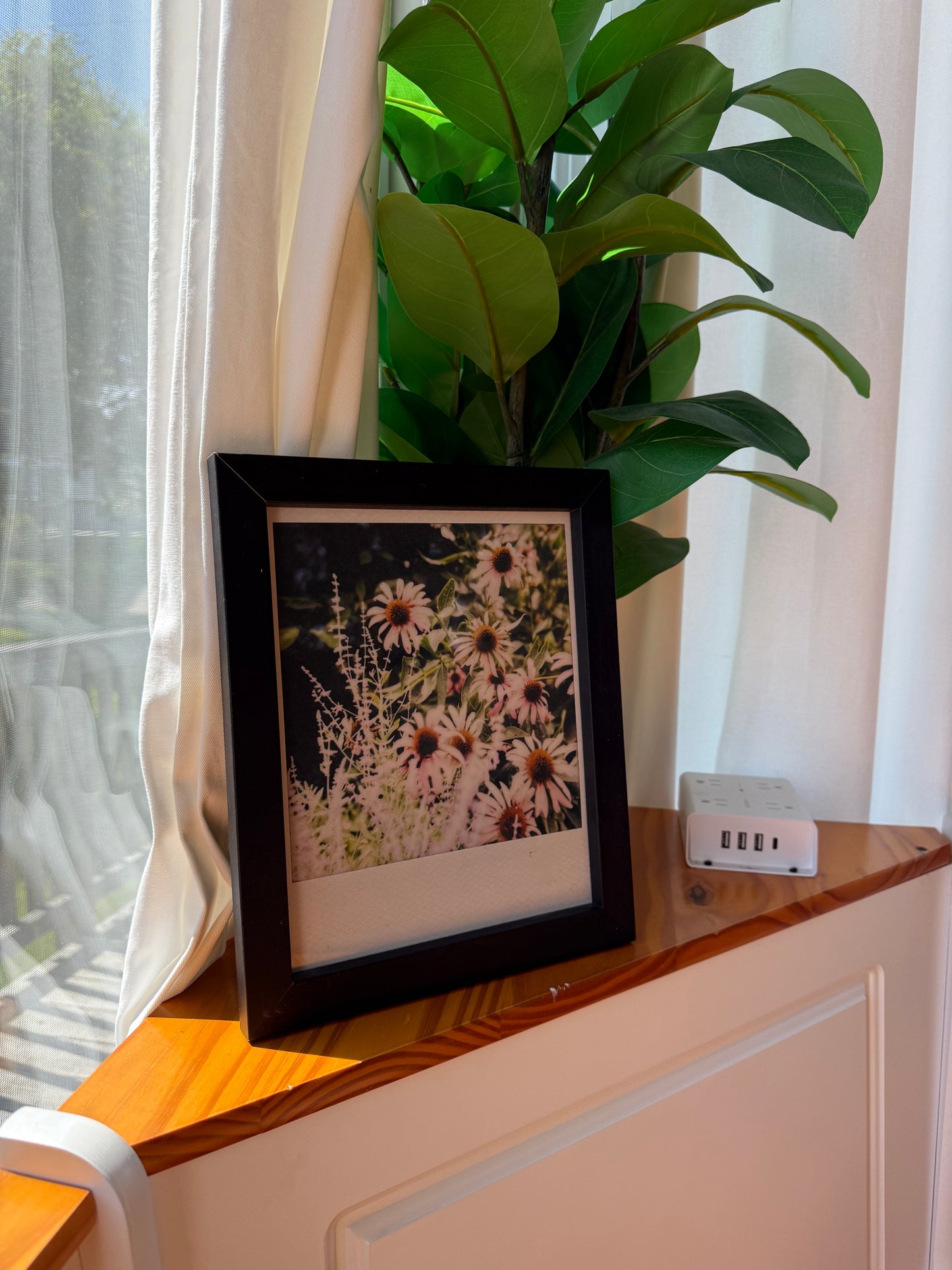 CATSKILLS WILDFLOWERS 8”x10” PRINT