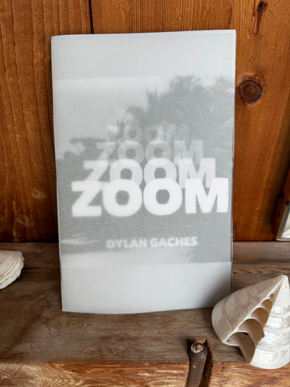 ZOOM